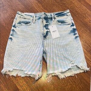 Women's Blue Distressed Denim Shorts